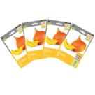 4X Sementes de Mini Abóbora Kimi SUPER ISLA