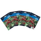 4X Sementes de Morango Ornamental Blueline TOPSEED
