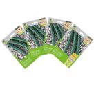 4X Sementes de Pepino Japonês Hibrido (Nagato) Super ISLA 4X Sementes de Pepino Japonês Hibrido (Nagato) Super ISLA