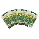 4X Sementes de Pepino (Para Conserva) TOPSEED 4X Sementes de Pepino (Para Conserva) TOPSEED