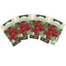4X Sementes de Pimenta Cambuci (Chapéu de Bispo) TOPSEED