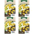 4X Sementes de Pimenta de Cheiro do Norte TOPSEED