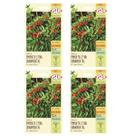 4X Sementes de Pimenta Etna Ornamental ISLA