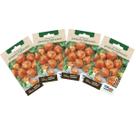4X Sementes de Pimenta Habanero (Orange) TOPSEED