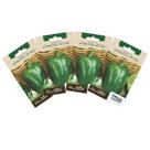 4X Sementes de Pimentão All Big TOPSEED