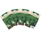 4X Sementes de Salsa Crespa TOPSEED