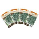 4X Sementes de Sálvia TOPSEED