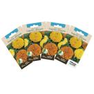 4X Sementes de Tagetes Africano Gigante (Sortida) TOPSEED 4X Sementes de Tagetes Africano Gigante (Sortida) TOPSEED