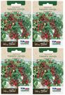 4X Sementes De Tomate Cereja (Samambaia) TOPSEED 4X Sementes De Tomate Cereja (Samambaia) TOPSEED