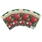 4X Sementes de Tomate Tropic Especial para Salada TOPSEED