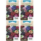 4X Sementes de Verbena Grandiflora Sortida TOPSEED