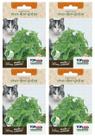 4X Sementes Erva Dos Gatos (Nepeta Cataria) Catnip TOPSEED