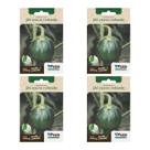 4X Sementes Jiló Morro Redondo TOPSEED 4X Sementes Jiló Morro Redondo TOPSEED