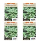 4X Sementes Levístico (Erva Maggi) TOPSEED