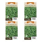4X Sementes Manjericão Basil Basilicão (Folha Fina) TOPSEED 4X Sementes Manjericão Basil Basilicão (Folha Fina) TOPSEED