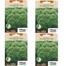 4X Sementes Manjericão Verde Fino Francês TOPSEED