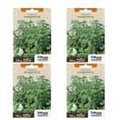 4X Sementes Manjerona TOPSEED