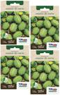 4X Sementes Maxixe Do Norte TOPSEED