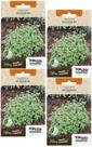 4X Sementes Orégano (Origanum vulgare) TOPSEED 4X Sementes Orégano (Origanum vulgare) TOPSEED