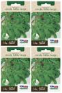 4X Sementes Rúcula Folha Larga TOPSEED