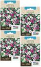 4X Sementes Vinca Anã Sortida TOPSEED