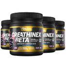 4x Suplemento Creathinex Beta 600g Creatina Monohidratada Sabor Uva Alanina Massa Muscular Treino
