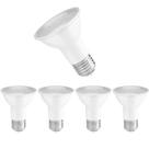 5 âmpada Led Par20 6W E27 6500k Branco Frio 550lm Crystal Save Energy