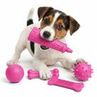 5 Brinquedos Para Cães Pet Mordedor Bolinhas Ossos E Pasta De Dente Borracha Atóxica