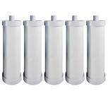 5 Elemento Filtrante Liso 9 3/4" com Rosca