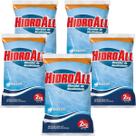 5 Elevador Alcalinidade Hidroall 2kg Para Piscina Ph Estavel 5 Elevador Alcalinidade Hidroall 2kg Para Piscina Ph Estavel