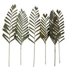 5 Folha de Areca Seca Desidratada Decoração Arranjo Floral Buque De Casamento