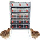 5 Gaiola para codorna ou codornão bebedouro automático copinho - Gaia 5 Gaiola para codorna ou codornão bebedouro automático copinho - Gaia