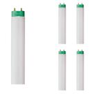 5 Lâmpadas Philips T8 16w Tubular Fluor. 4000k S84 Bivolt