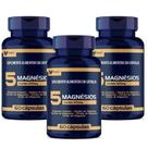 5 Magnesio 180 cápsulas 500mg kit 3 frascos de 60 cápsulas Muwiz