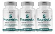 5 Magnésio kit 3x 120 Cápsulas Dipp 360 cápsulas Malato Quelato Citrato Taurato muwiz