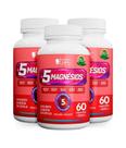 5 magnésios suplemento 500mg 60 cápsulas fórmula com 5 tipos de magnésio caps 1