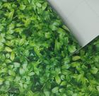5 Metros Papel De Parede Folhagem Verde Jardim Vertical Lavável 5m*45cm Auto adesivo 5 Metros Papel De Parede Folhagem Verde Jardim Vertical Lavável 5m*45cm Auto adesivo