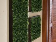 5 Mini Placas de buxinho permanente 25x25 revestimento em decorações com folhagens verdes em parede - DE27095