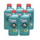 5 Oleo Motor Castrol Magnatec 5w40 A3 Original Vw 1lt