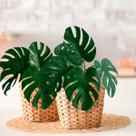 5 Plantas artificiais linha luxo Costela de Adão ótima Opção para Decoração de Mesa em apartamentos DE0524 5 Plantas artificiais linha luxo Costela de Adão ótima Opção para Decoração de Mesa em apartamentos DE0524