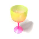 5 Taças De Gin Acrílico 450ml Bicolor