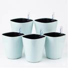 5 Unidades Vaso Autoirrigável Quadrado 14cm - Branco