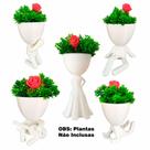 5 Vasos Bob Robert Plant Decoração Plantas E Suculentas