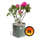 5 Vasos De Planta e Horta 7 Litros King Pot