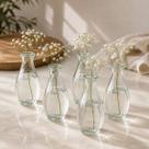5 Vasos de Vidro Transparente Decorativo Pequeno Para Flores Arranjos Minimalistas Centro Mesa