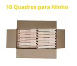 50 Caixilho Quadro Ninho Desmontado Abelha Apicultura