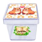 50 Caixinhas Capivara