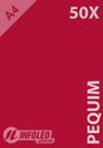 50 Folhas Papel Color Plus Pequim (Vermelho Escuro) A4 180g