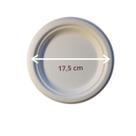 50 Pratos para festas sustentáveis 17,5cm biodegradáveis 50 Pratos para festas sustentáveis 17,5cm biodegradáveis