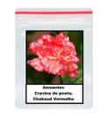 50 Sementes de Cravo / Craveiro / Cravina do poeta. Chabaud Vermelho 50 Sementes de Cravo / Craveiro / Cravina do poeta. Chabaud Vermelho